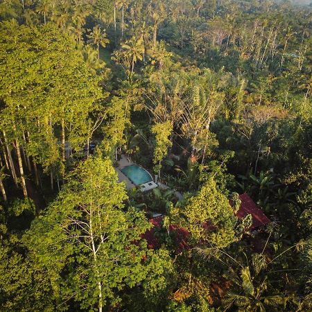 Daydream Lodge Tampaksiring エクステリア 写真