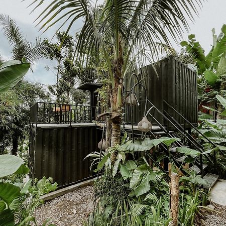 Daydream Lodge Tampaksiring エクステリア 写真
