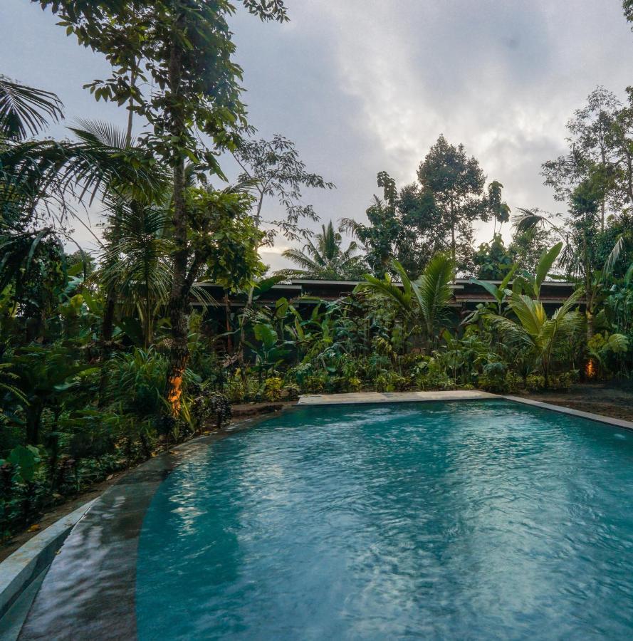 Daydream Lodge Tampaksiring エクステリア 写真