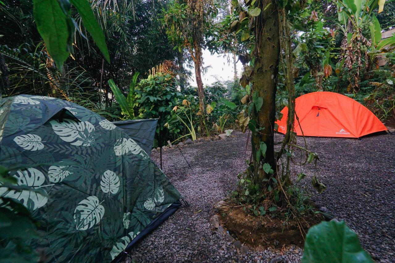 Daydream Lodge Tampaksiring エクステリア 写真
