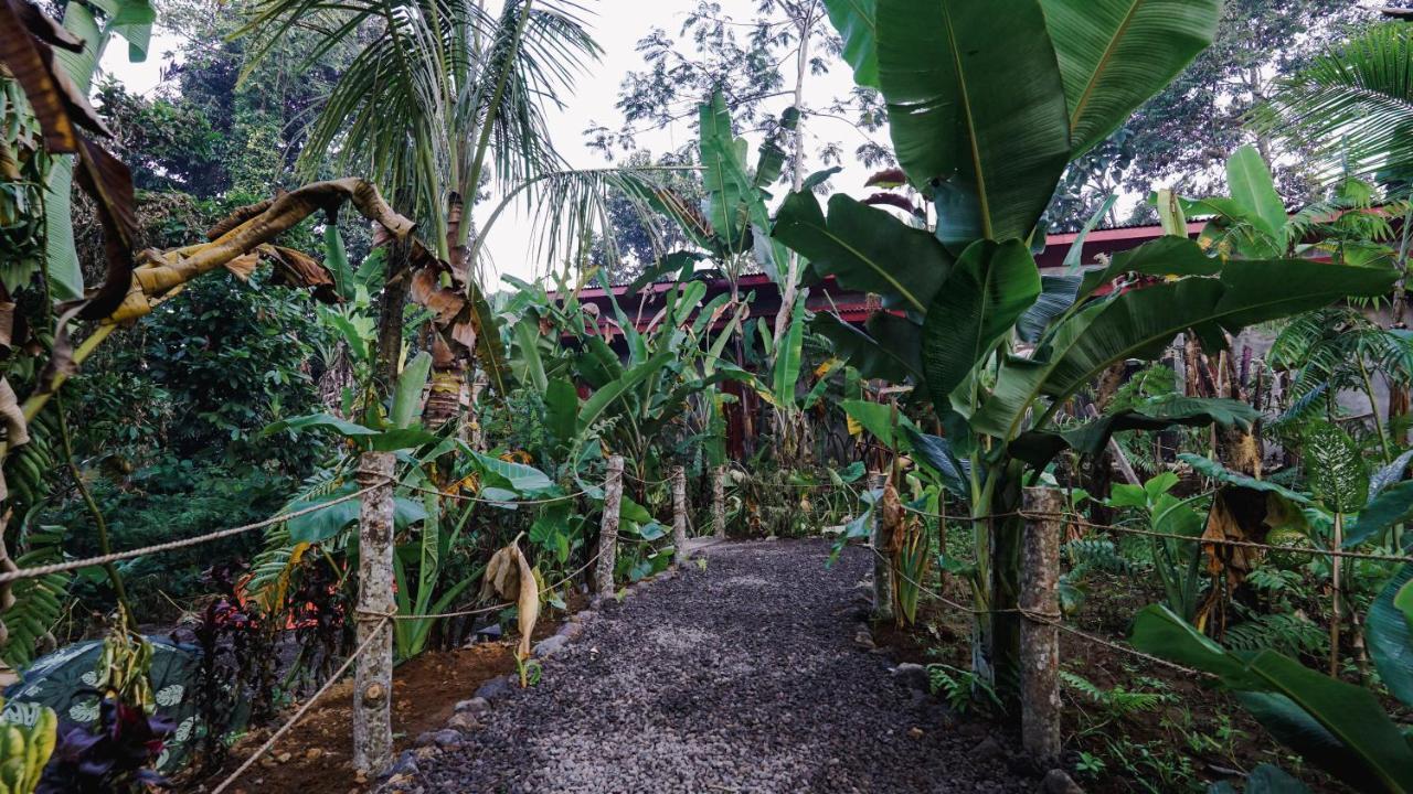 Daydream Lodge Tampaksiring エクステリア 写真