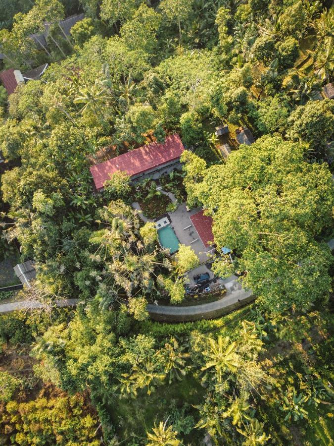 Daydream Lodge Tampaksiring エクステリア 写真