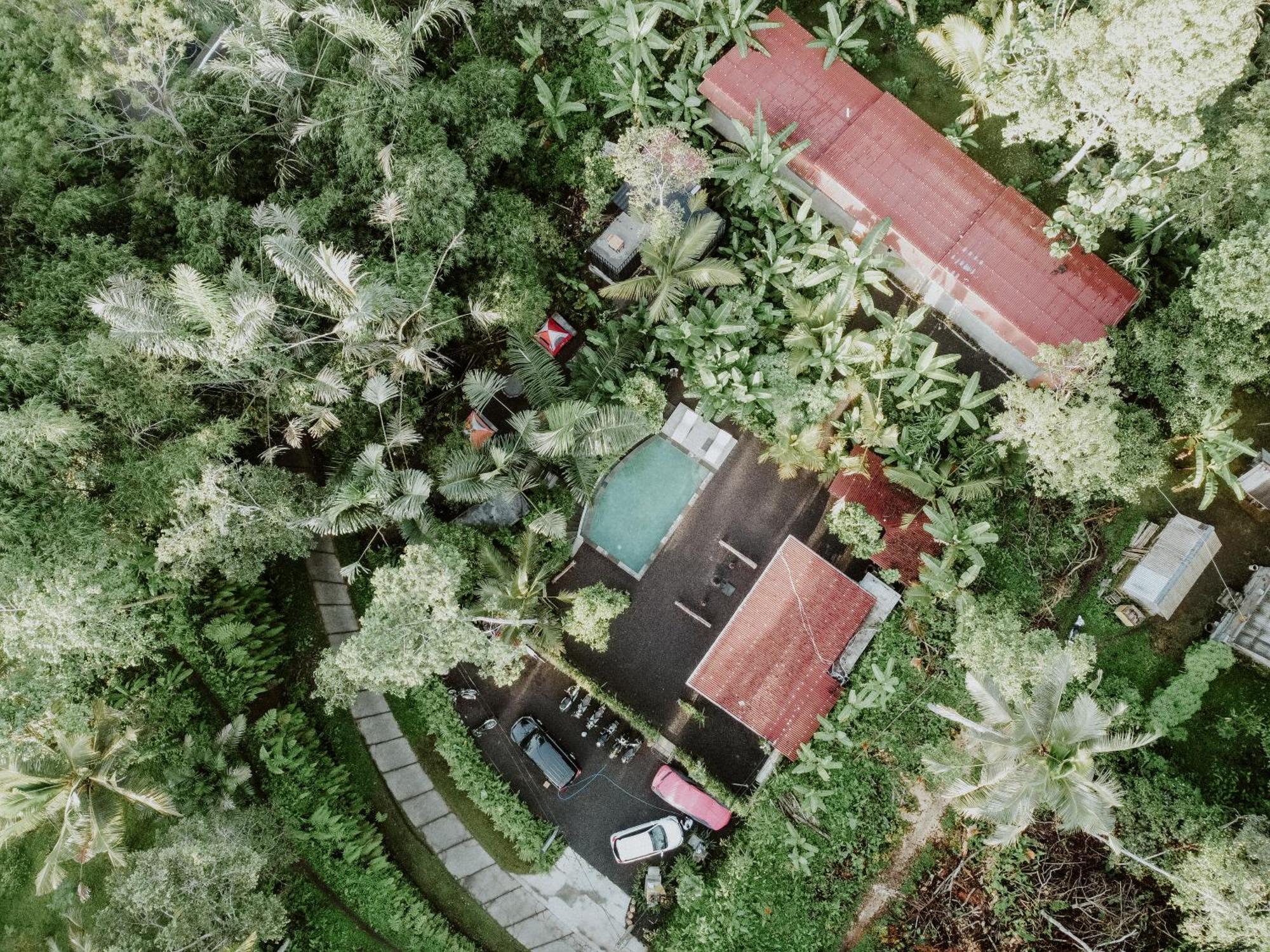 Daydream Lodge Tampaksiring エクステリア 写真