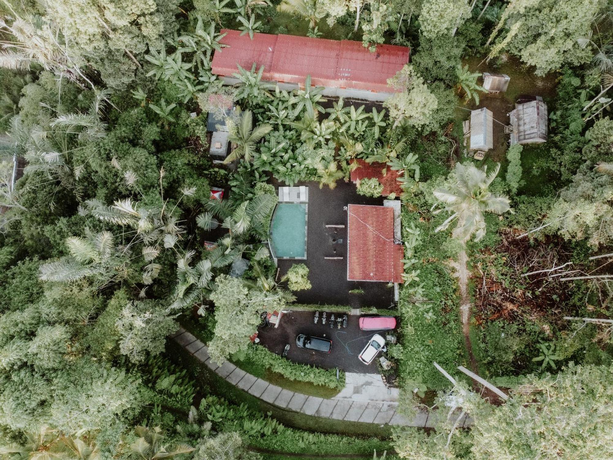 Daydream Lodge Tampaksiring エクステリア 写真